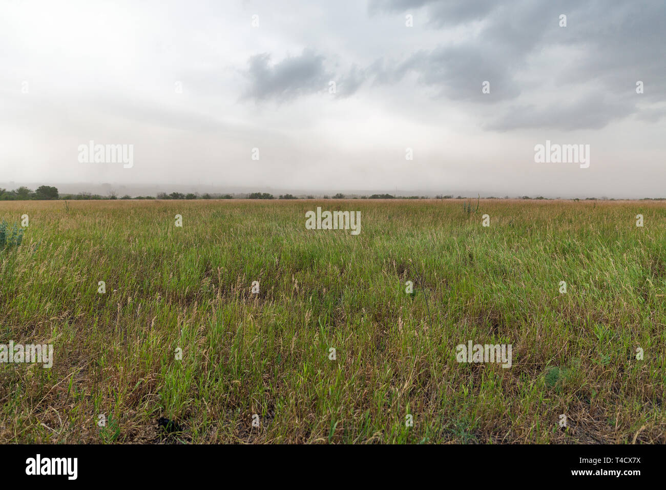 Thunder Cielo di estate sul paesaggio Khortytsia island, Ucraina Foto Stock