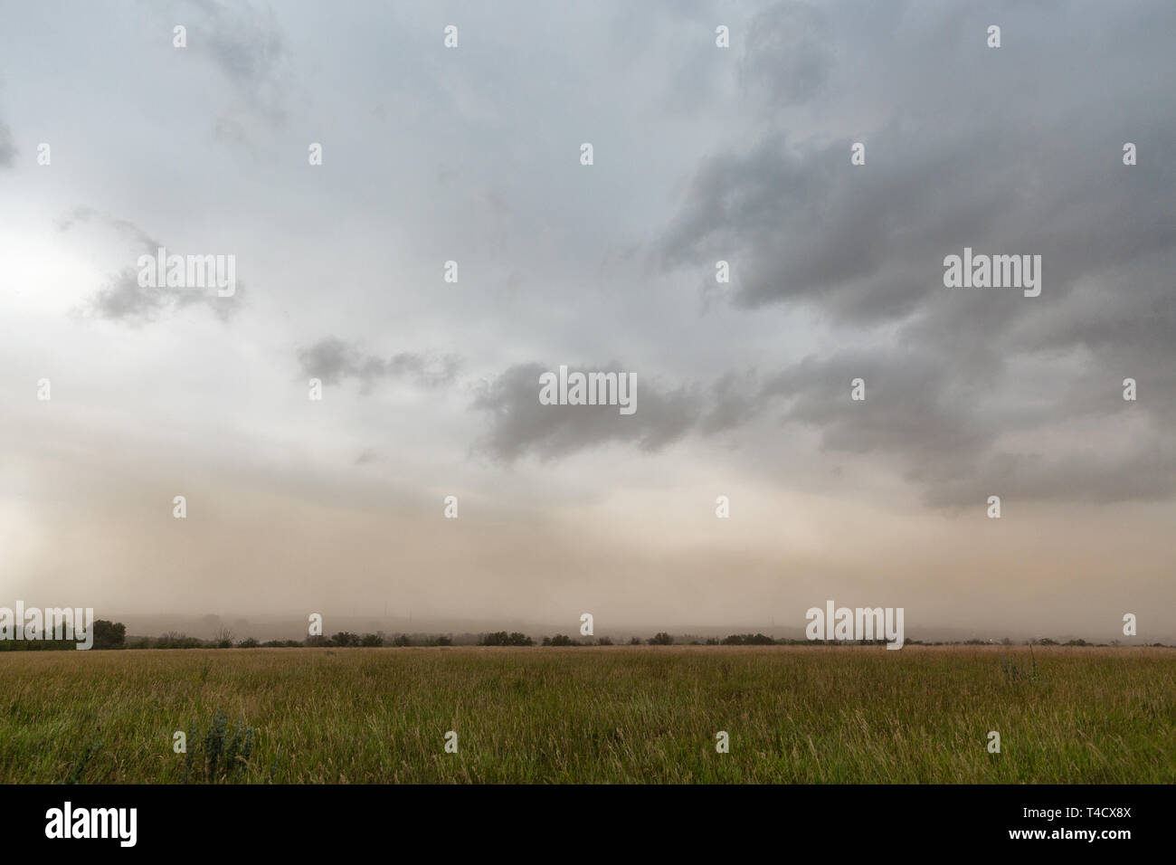 Thunder Cielo di estate sul paesaggio Khortytsia island, Ucraina Foto Stock