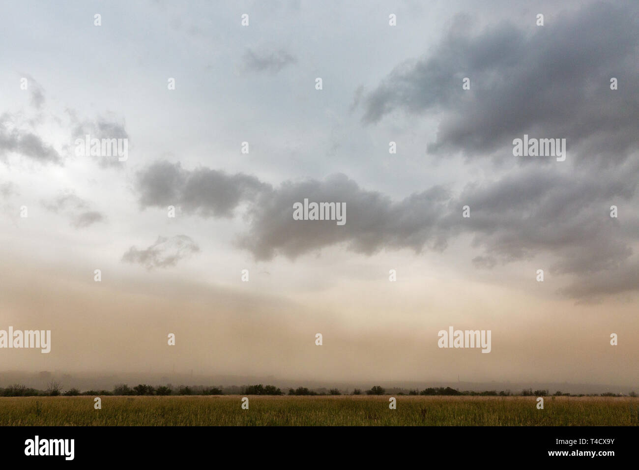 Thunder Cielo di estate sul paesaggio Khortytsia island, Ucraina Foto Stock