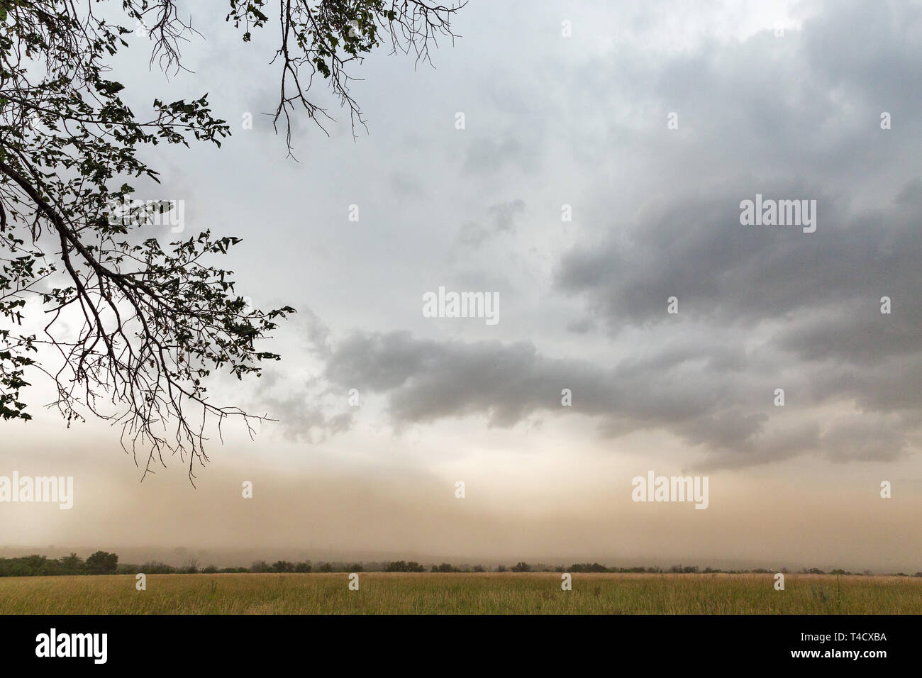 Thunder Cielo di estate sul paesaggio Khortytsia island, Ucraina Foto Stock