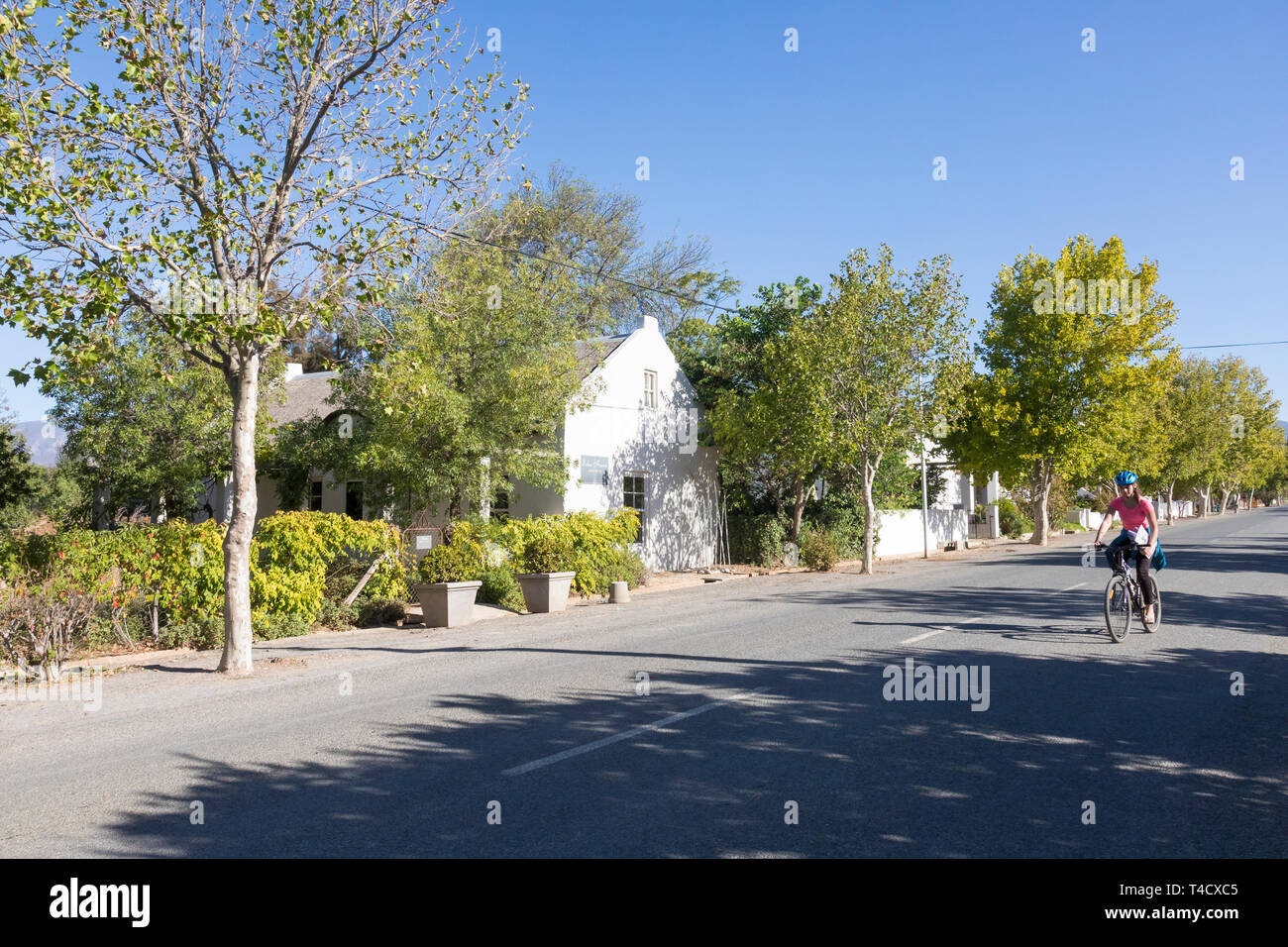 Donna in bicicletta nel viale alberato Voortrekker Street, McGregor, precedentemente noto come Lady grigio, Robertson Wine Valley, Western Cape, Sud Africa con case storiche Foto Stock