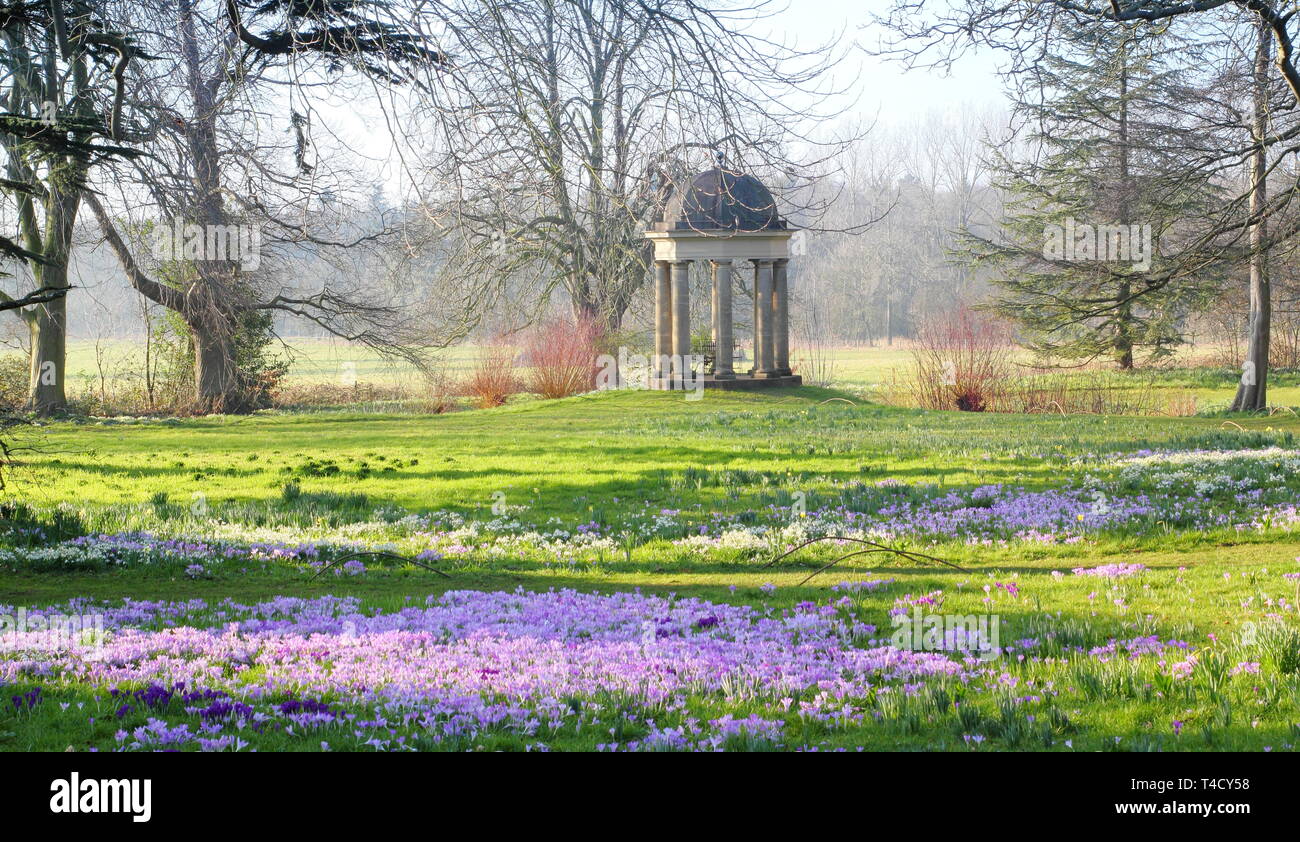 Il Tempio dei venti a Doddington Hall e giardini, Lincolnshire visto da un prato di naturalizzato crocus e bucaneve, - fine febbraio, REGNO UNITO Foto Stock