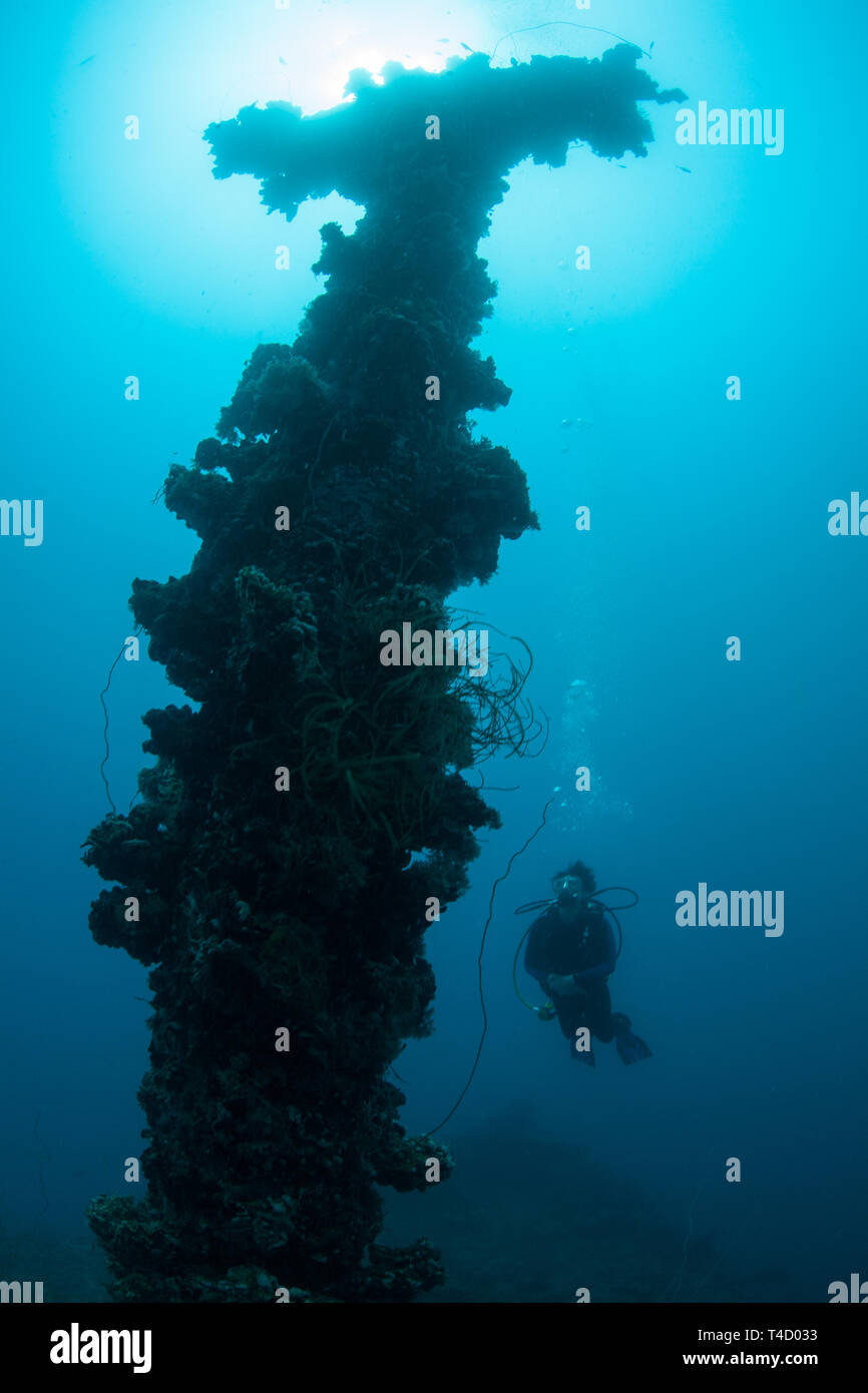 Un subacqueo esplora il relitto della Chuyo Maru, un Giapponese di nave da carico che era stata affondata durante la II Guerra Mondiale nella Repubblica del Palau in Micronesia. Foto Stock Un subacqueo esplora il relitto della Chuyo Maru, un Giapponese di nave da carico che era stata affondata durante la II Guerra Mondiale nella Repubblica del Palau in Micronesia. Foto Stock