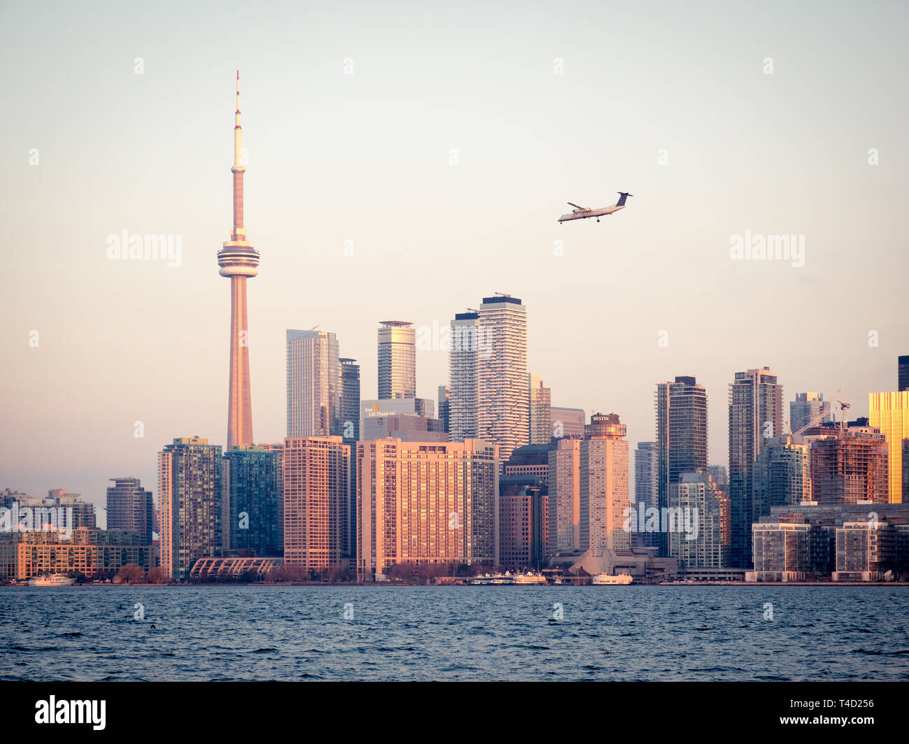 La CN Tower e spettacolare skyline di Toronto, Ontario, Canada, come si vede da Ward's Island (Toronto Islands) attraverso il lago Ontario. Foto Stock