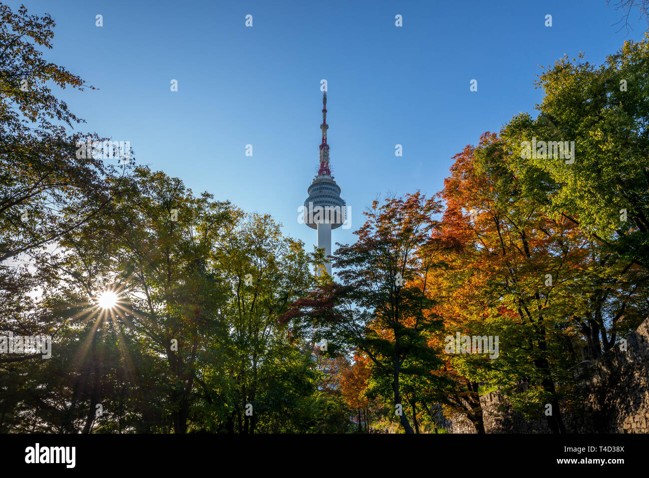 Torre di Seoul e foglie colorate a Seoul, Corea del Sud Foto Stock