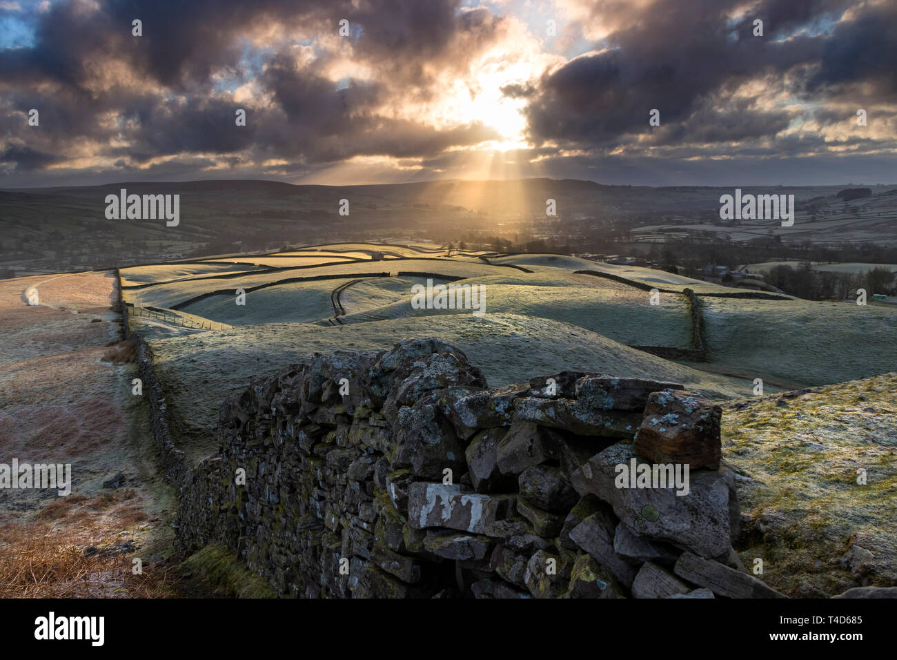 La vista dal tumulo antico di Kirkcarrion come raggi crepuscolari lambisce la brina rivestiti i campi di seguito, Lunedale, Teesdale, County Durham, Regno Unito Foto Stock