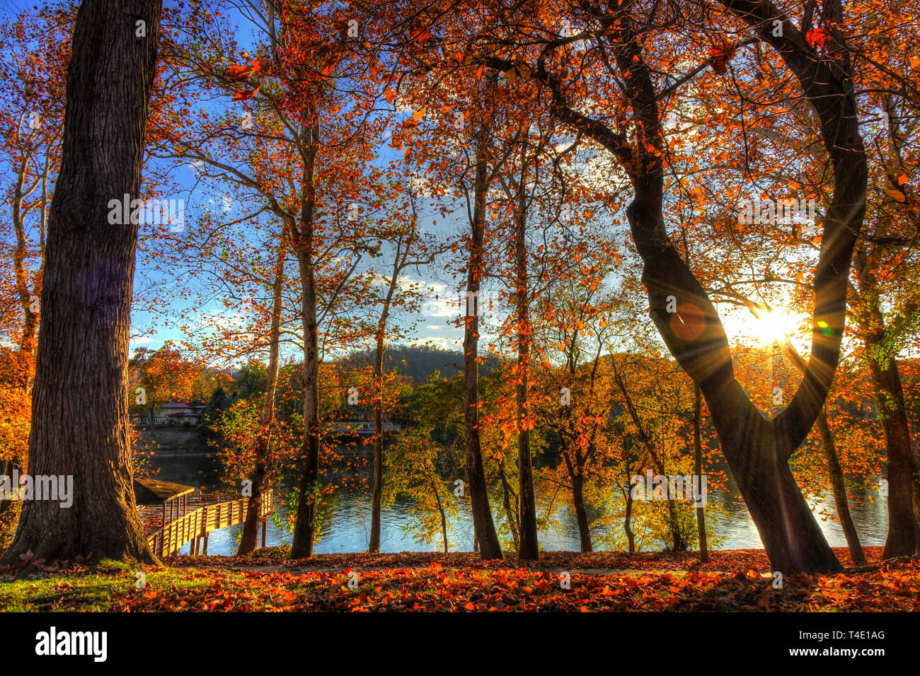 Charleston, West Virginia, la caduta | Daniel Boone Park. La foto mostra la bellezza dei colori autunnali della treccia a fianco del fiume Kanawha Foto Stock