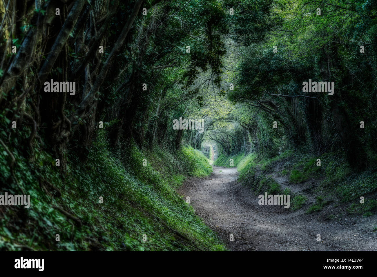Mill Lane, Halnaker, Sussex England, Regno Unito, Europa Foto Stock