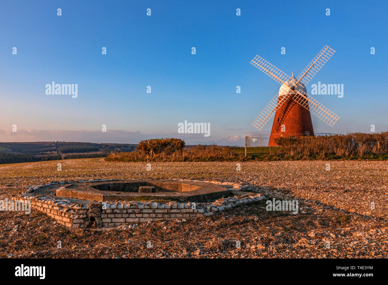 Il mulino a vento, Halnaker, Sussex England, Regno Unito, Europa Foto Stock