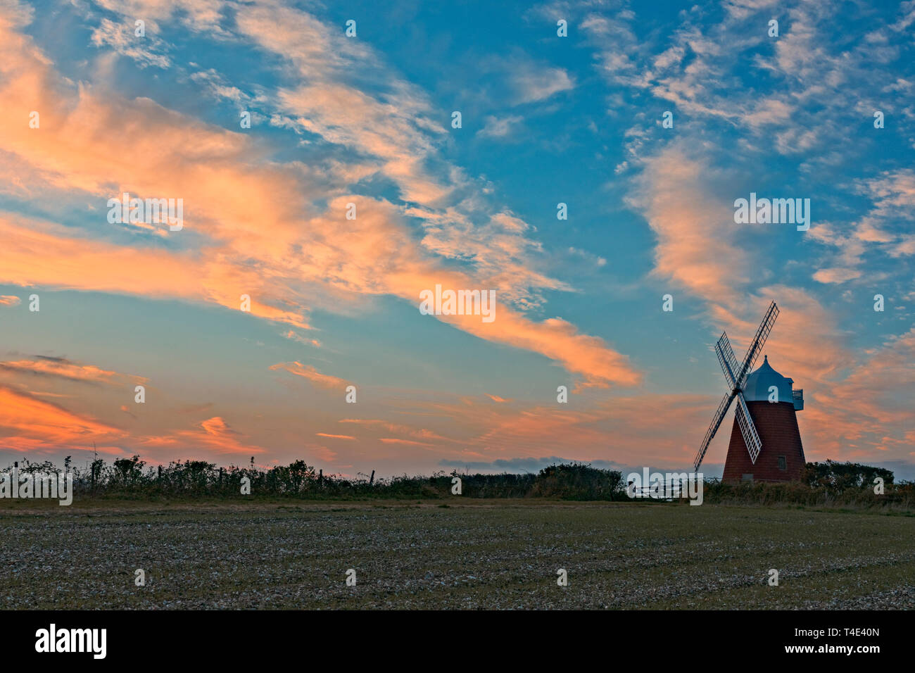 Il mulino a vento, Halnaker, Sussex England, Regno Unito, Europa Foto Stock