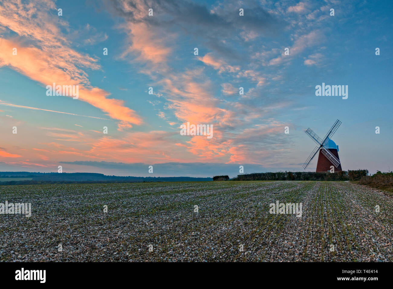 Il mulino a vento, Halnaker, Sussex England, Regno Unito, Europa Foto Stock