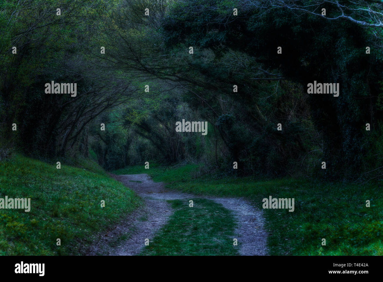 Mill Lane, Halnaker, Sussex England, Regno Unito, Europa Foto Stock