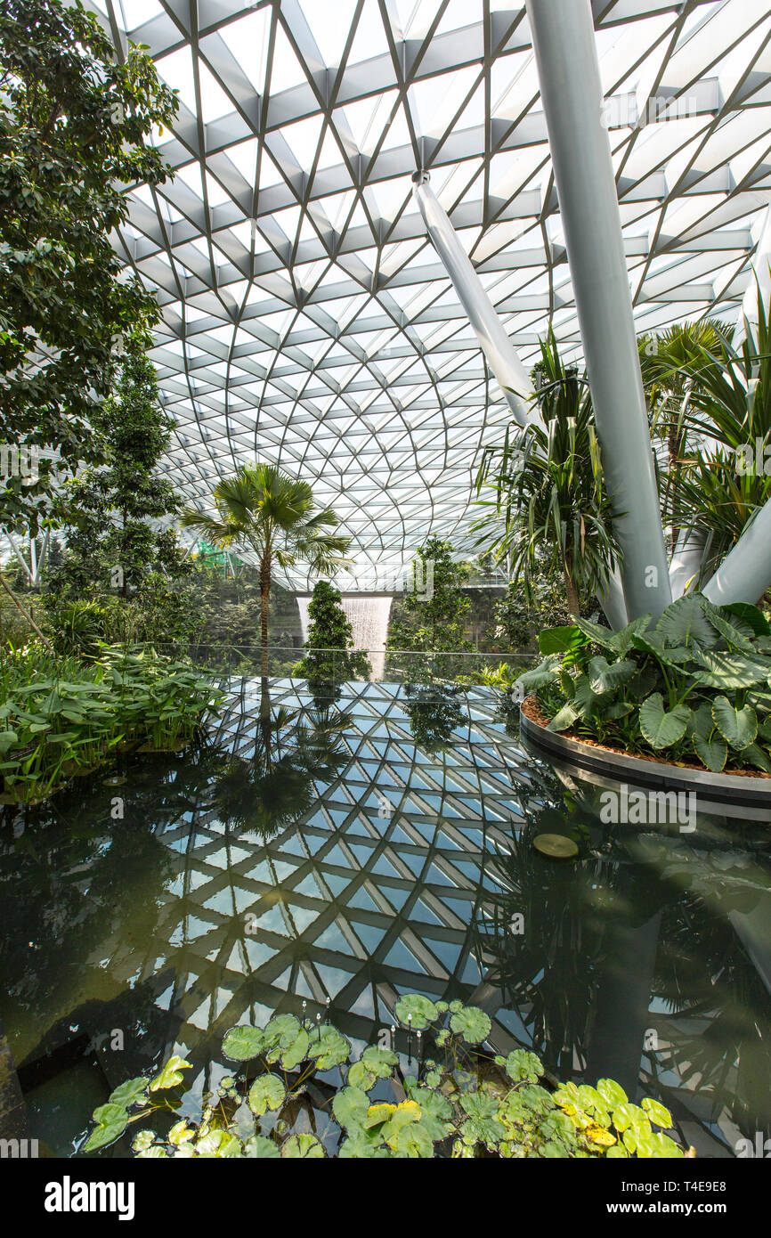 Scena verticale del Canopy Park, un riflesso d'acqua nel laghetto artificiale per mostrare il suo ampio spazio all'interno. Jewel Changi, Singapore Foto Stock