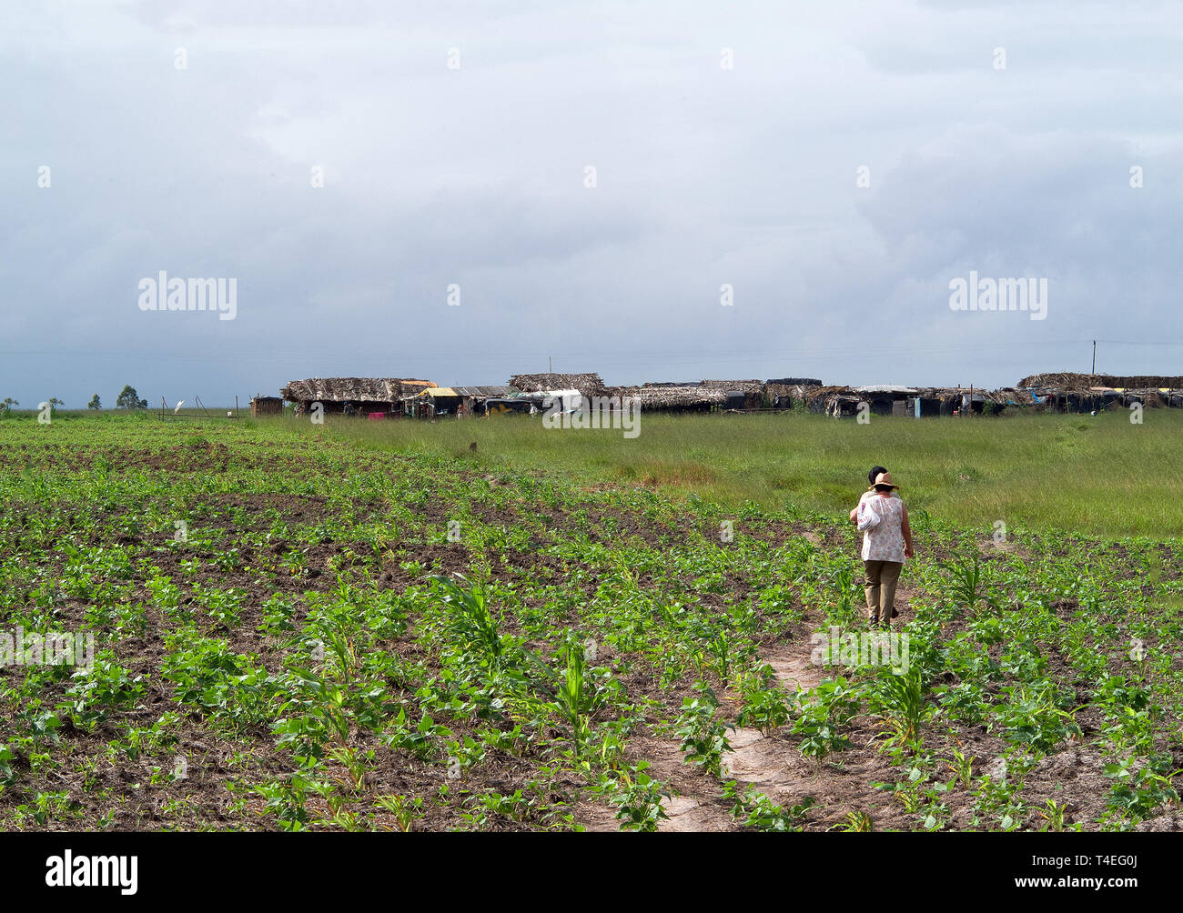 Bahia, Brasile: MST camp di landless Foto Stock