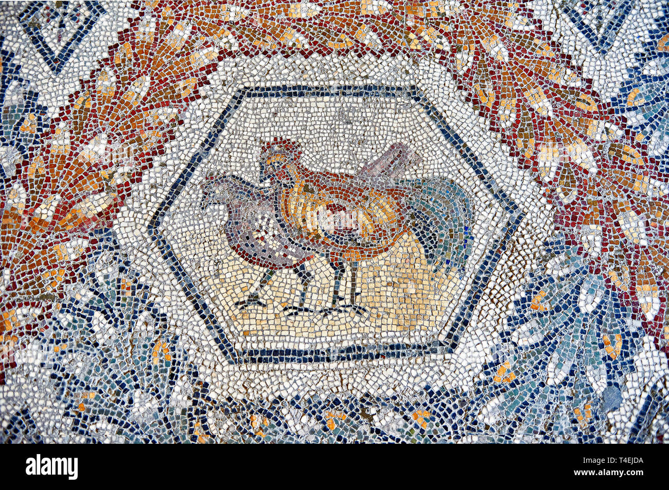 Iii secolo d.c. mosaico romano pannello di due polli da Thugga, Tunisia. Il Museo di Bardo, Tunisi, Tunisia. Foto Stock