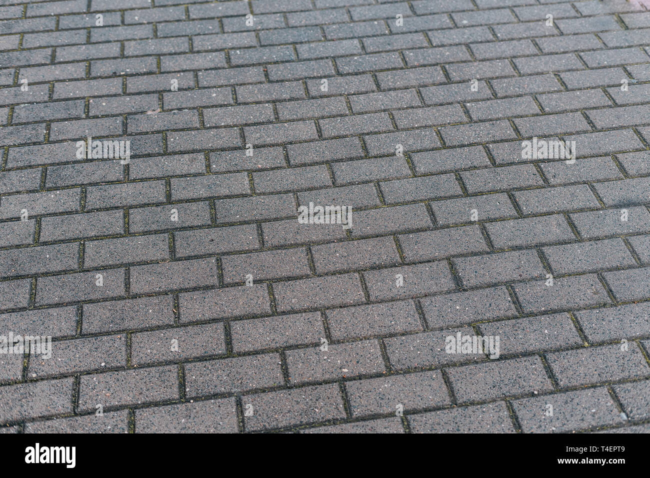Una schifezza ma elegante e accogliente pavimentazione in pietra in prospettiva. Classica architettura europea street design Foto Stock