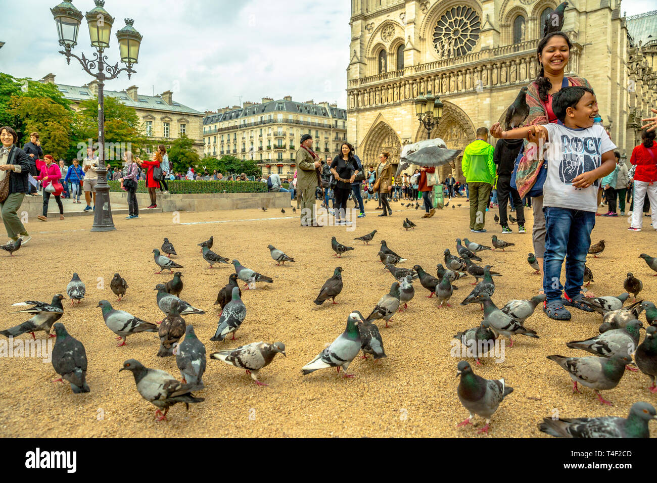 Parigi, Francia - luglio 1, 2017: funny bambino alimenta i piccioni a Notre Dame square. Giovane turista gode di Parigi. Una popolare destinazione turistica in francese Foto Stock