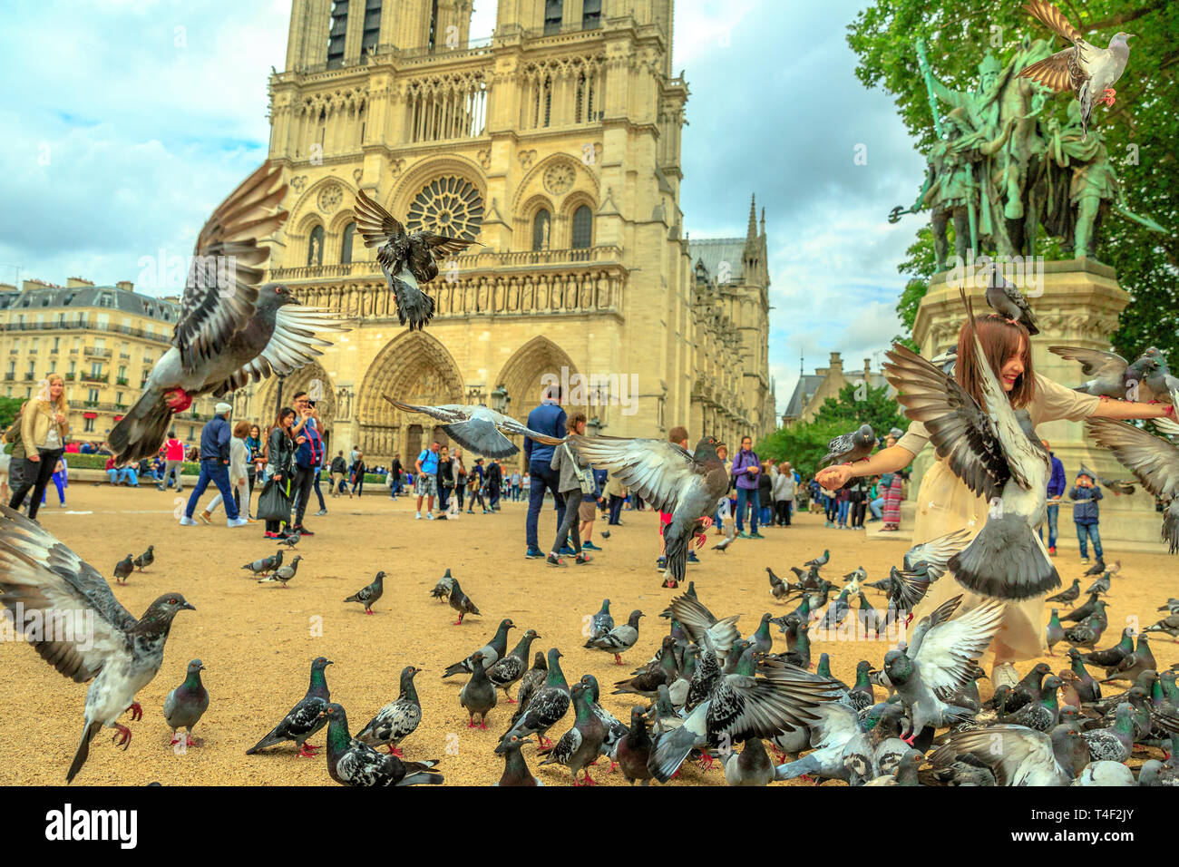 Parigi, Francia - luglio 1, 2017: i piccioni di Notre Dame square. il turista a godere di Parigi. Una popolare destinazione turistica nella capitale francese. La cattedrale sulla Foto Stock