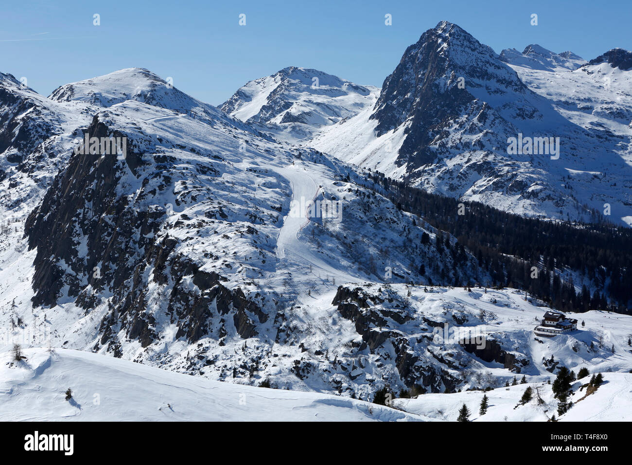 Ski area Passo Rolle, Palla Gruppo, Dolomiti, Trentino, Italia, Europa Foto Stock