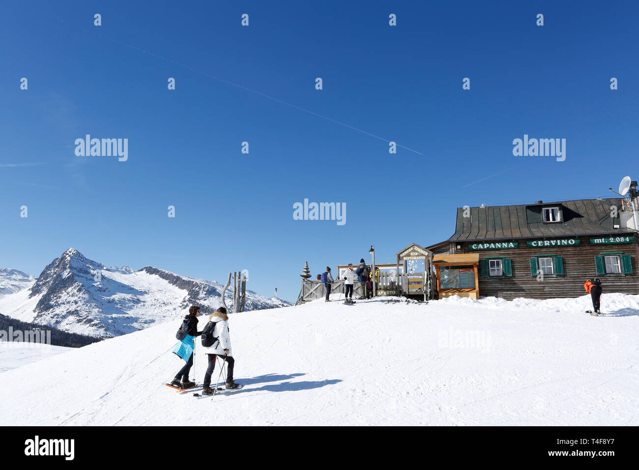 Escursioni in montagna, ski pass Passo Rolle, Palla Gruppo, Dolomiti, Trentino, Italia, Europa Foto Stock