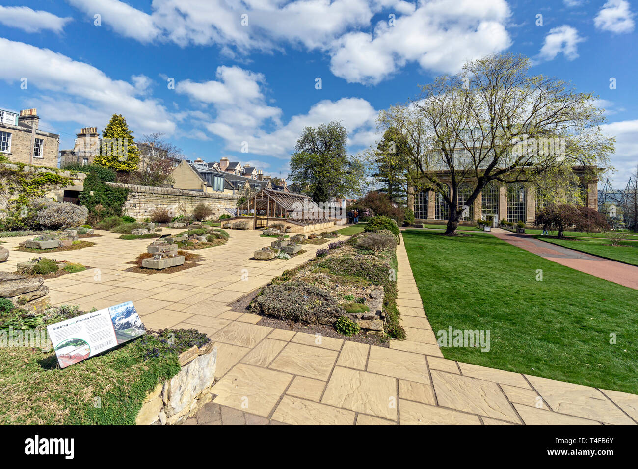 Casa Alpina e cortile con palm victorian house dietro al Royal Botanic Garden Edinburgh Scotland Regno Unito Foto Stock