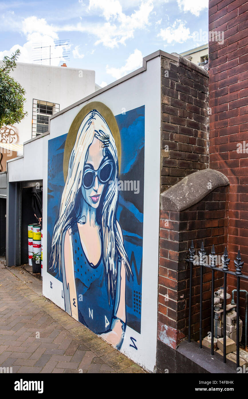 Chippendale, città interna sobborgo di Sydney è un happening sobborgo di arte di strada e le industrie creative di Sydney, Nuovo Galles del Sud, Australia Foto Stock