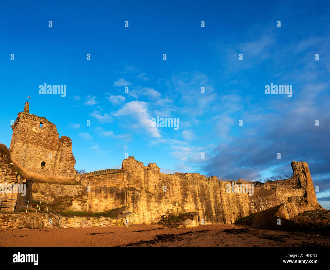 St Andrews a sunrise dal Castello Sands i punteggi St Andrews Fife Scozia Scotland Foto Stock St Andrews a sunrise dal Castello Sands i punteggi St Andrews Fife Scozia Scotland Foto Stock