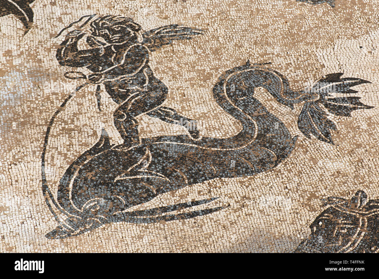Dettaglio del Nettuno trionfo Mosaico nei bagni termali di Nettuno in epoca romana gli scavi archeologici di Ostia Antica - Italia Foto Stock