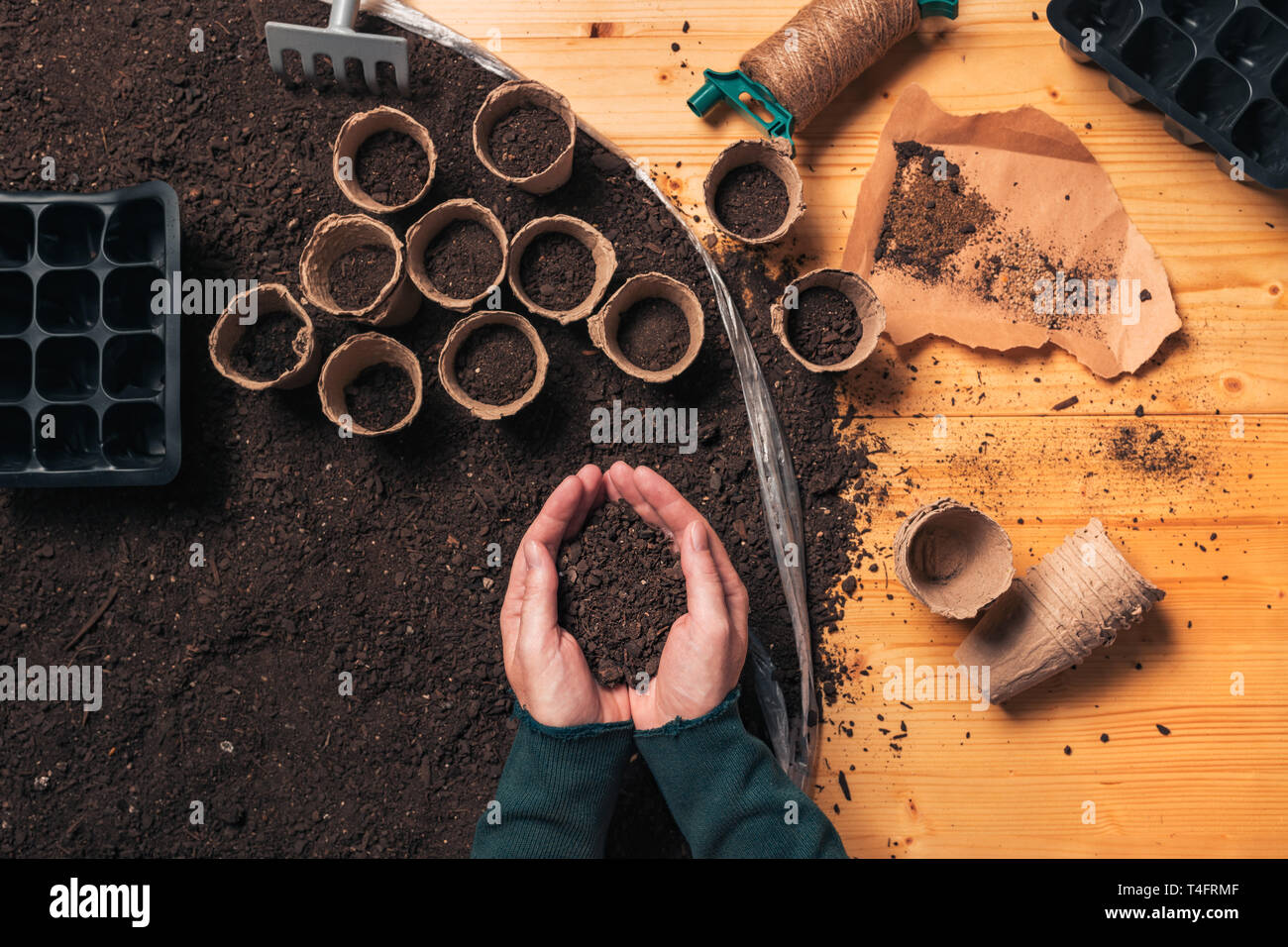 Giardiniere tenendo il suolo in mani a tazza, vista dall'alto femminile di alimenti biologici produttore manciata di humus per la coltivazione di piante Foto Stock