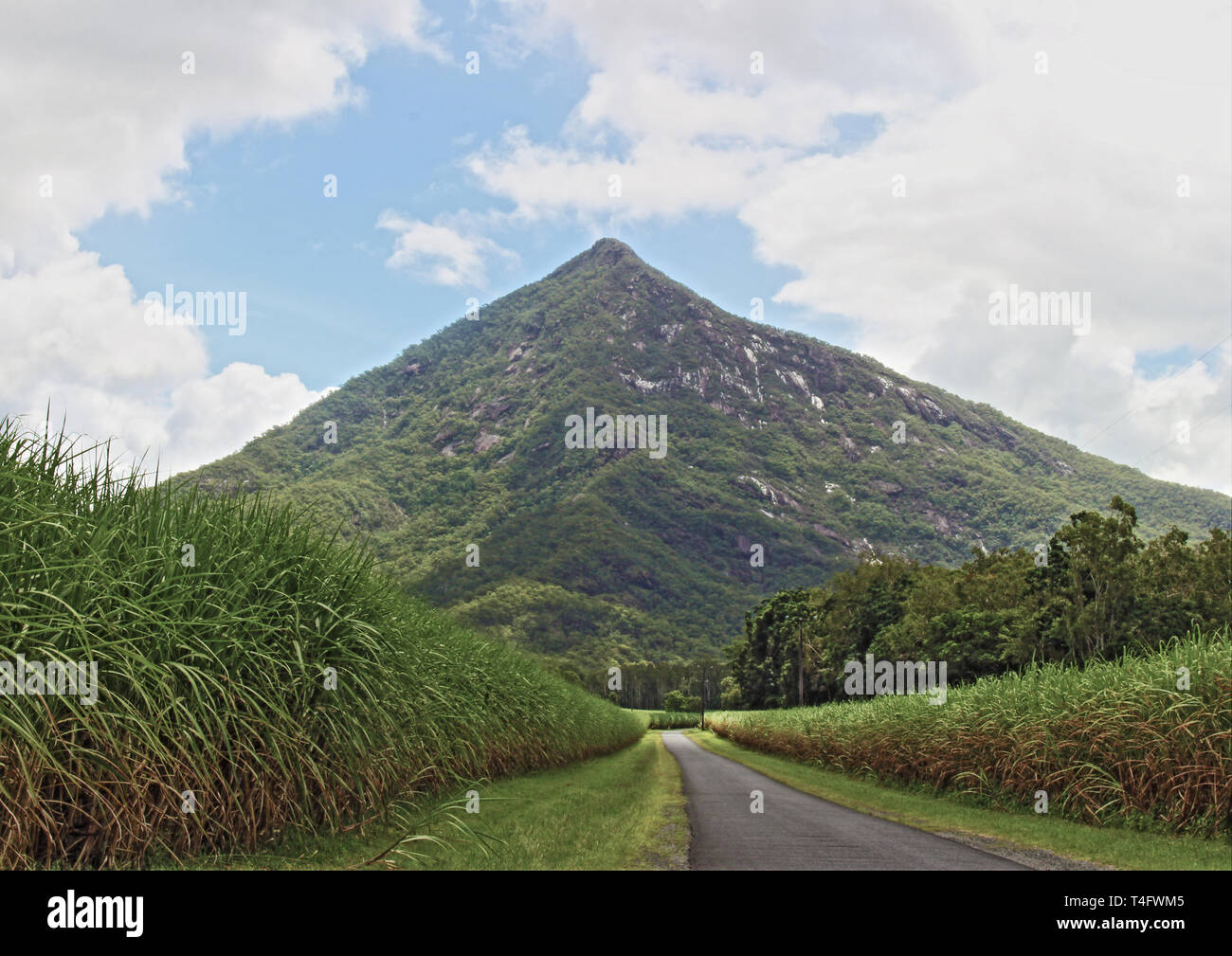 Walsh's Pyramid - prospettiva del 922 metro Piramide naturale dalla gola Behana Rd, circa 26 km a sud di Cairns, destro off Bruce Hwy in Aloomba Foto Stock