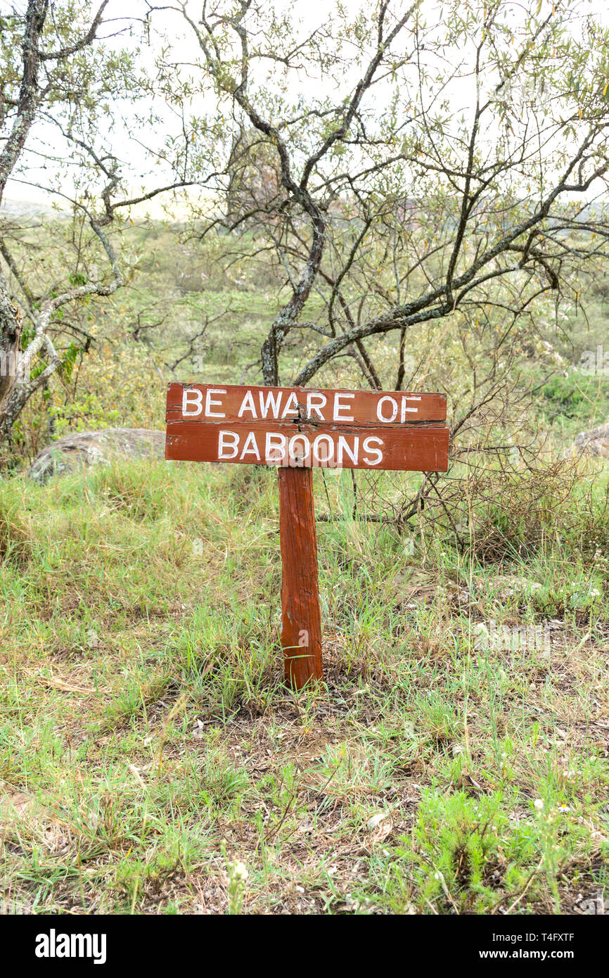 Essere consapevoli di babbuini segno a Ol Njorowa gorge, Hells Gate National Park, Kenya Foto Stock