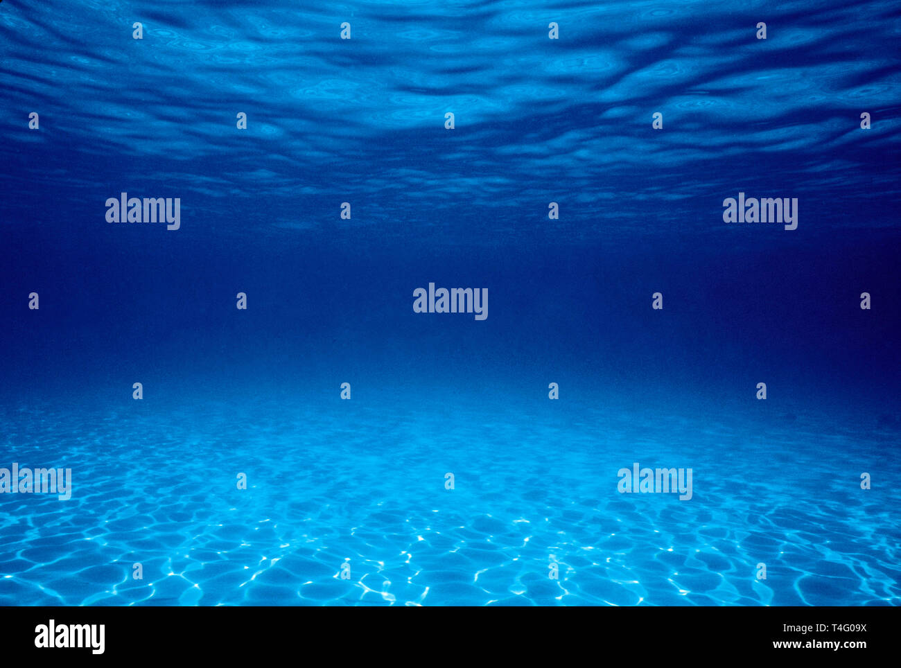 L'Egitto. Mar Rosso. Vista subacquea di ocean floor. Foto Stock