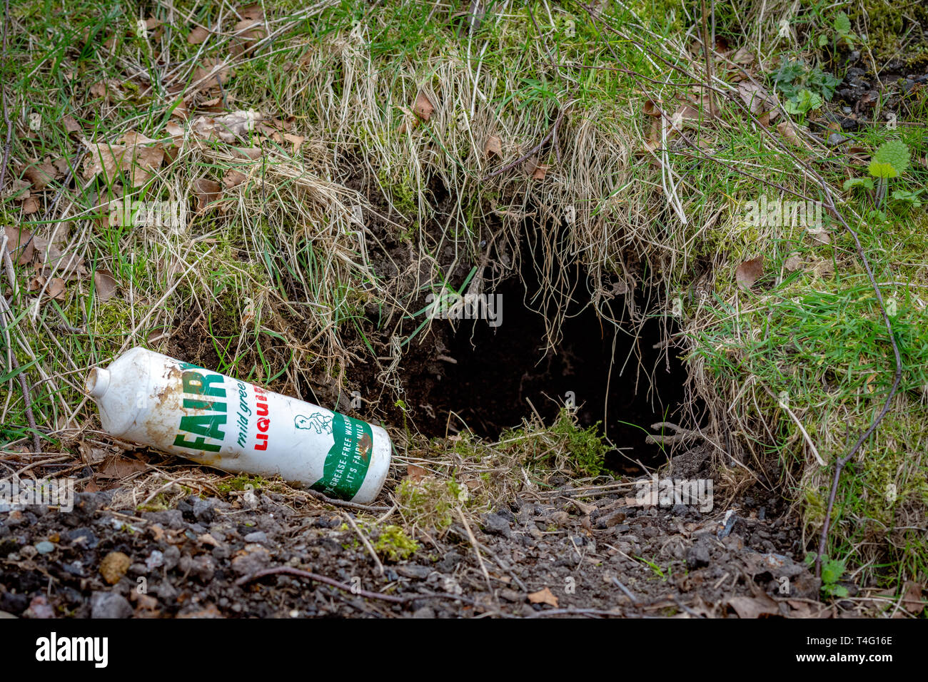 Lake District, Cumbria Regno Unito. Il 16 aprile 2019. A 60 anni fata di plastica bottiglia liquido trovato dissotterrato da un badger nel distretto del lago. Foto Stock