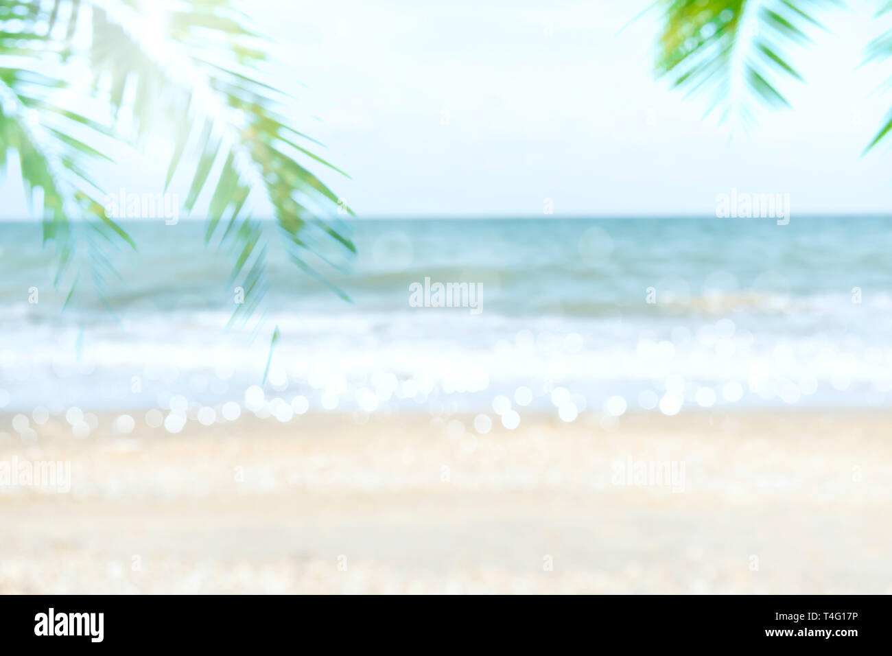 Abstract di sfocatura morbida natura spiaggia tropicale con noce di cocco verde di foglie di palma e di onde di luce sullo sfondo bokeh concetto per sfocata cielo estate acqua paesaggio un Foto Stock