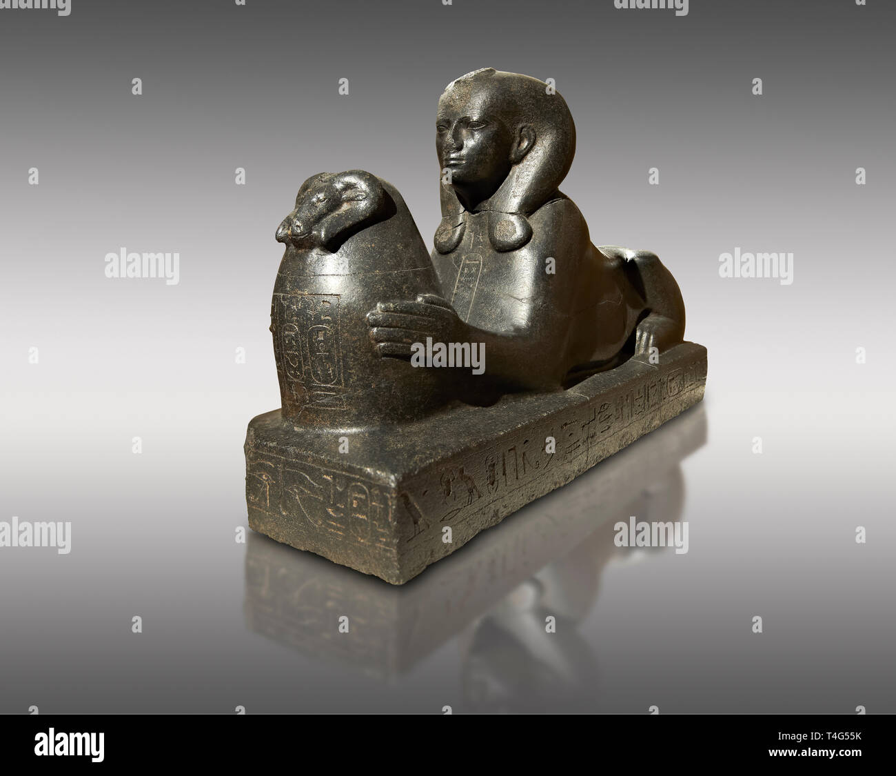 Xxv dinastia egizia la Sfinge di granito di Shepenepet II, dio la moglie di Amon. 660 BC, Karnak. Neues Reiche Museum di Berlino. Cat non AM7972 Foto Stock