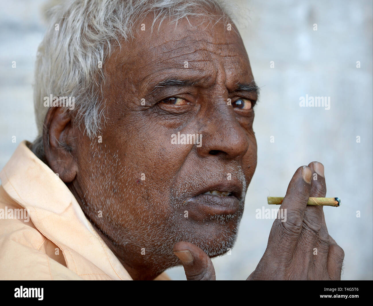 Anziani uomo indiano detiene una economici Indian mini-sigaro (beedi) nella mano destra e guarda la telecamera. Foto Stock