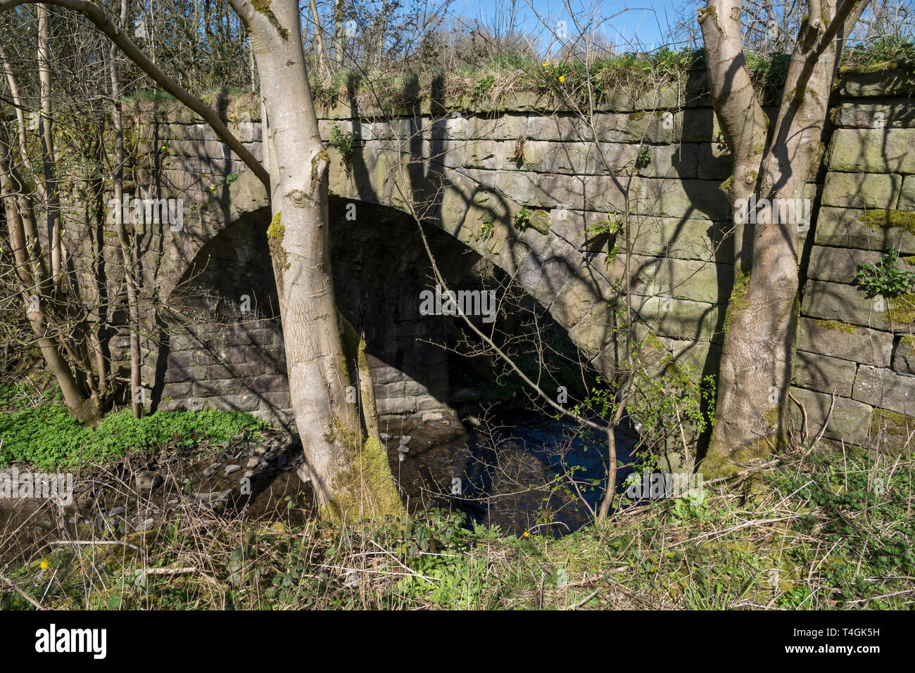 Ponti di pietra sul sentiero Tram vicino Buxsworth, Whaley Bridge, Derbyshire, in Inghilterra. Foto Stock
