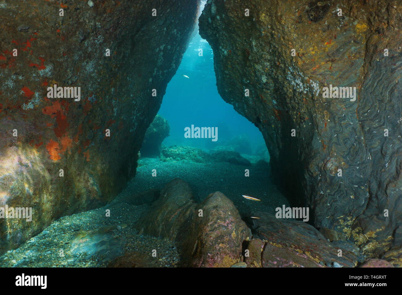 Uscita di un passaggio al di sotto di rocce sott'acqua nel mare Mediterraneo, scenario naturale, Francia Foto Stock