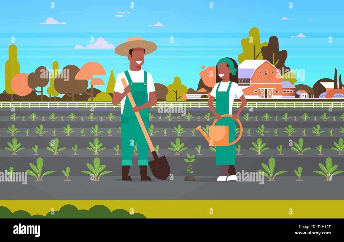 Giovane gli agricoltori di piantare le piantine di ortaggi Piante African American uomo donna giardinieri utilizzando la pala annaffiatoio eco concetto di agricoltura di terreni agricoli Illustrazione Vettoriale