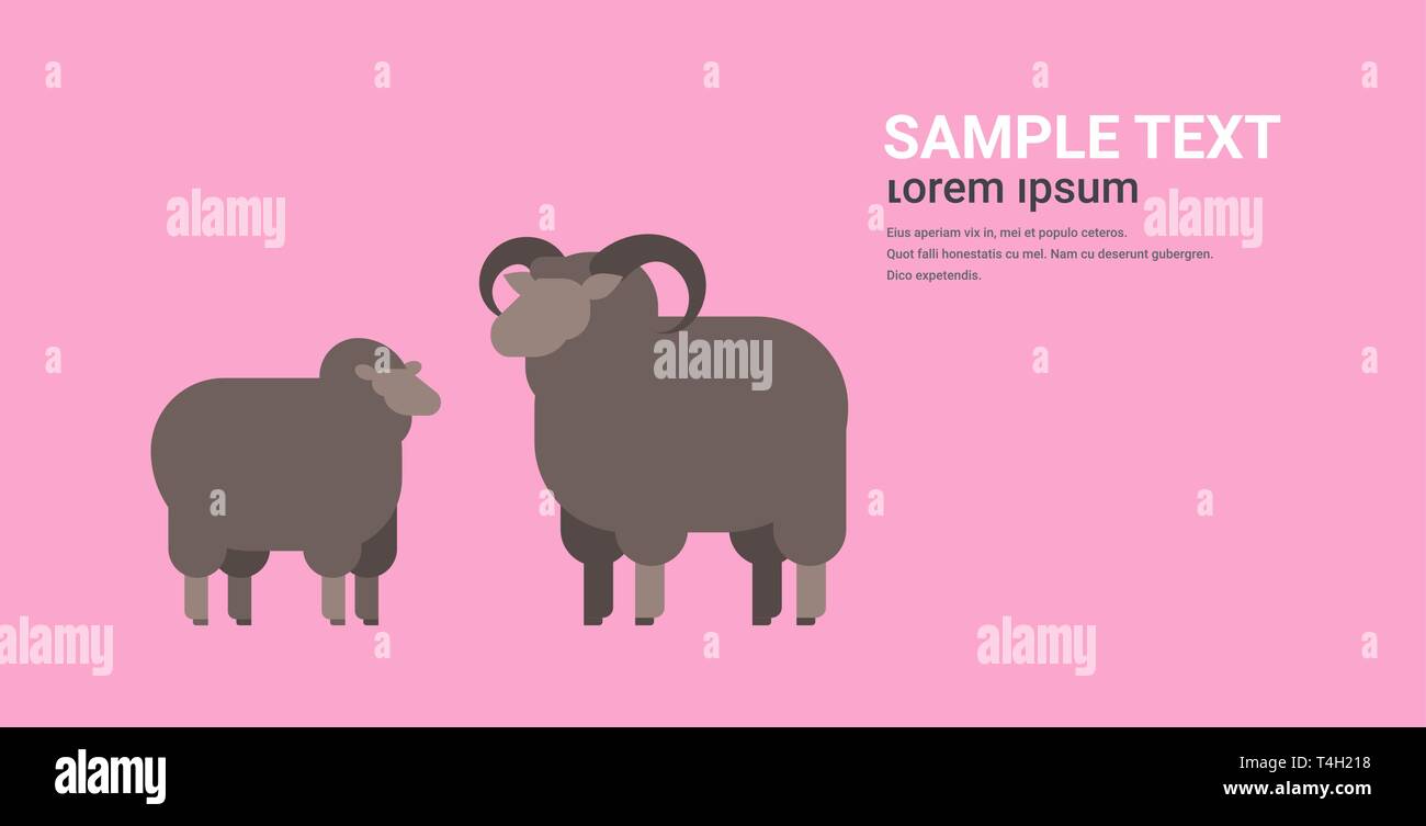 Carino pecora nera e lana di ram fattoria degli animali domestici allevamento concetto orizzontale piana spazio di copia Illustrazione Vettoriale