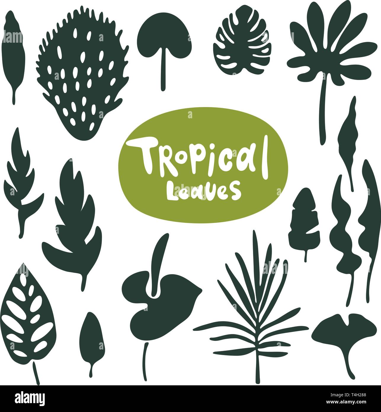 Collezione di foglie di doodle tropicali. Set di silhouette isolate vettoriali su sfondo bianco. Illustrazione Vettoriale