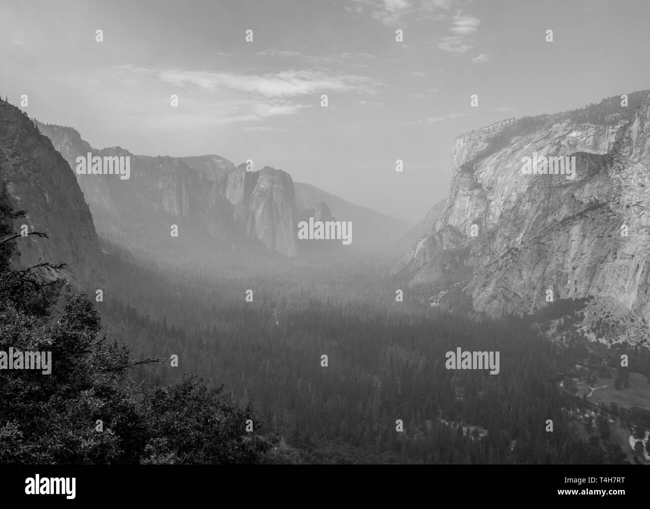 Un paesaggio in bianco e nero colpo di Yosemite Valley. Prese quando la wild incendi sono stati solo a chilometri di distanza dal parco e il fumo oggetto della foresta. Foto Stock