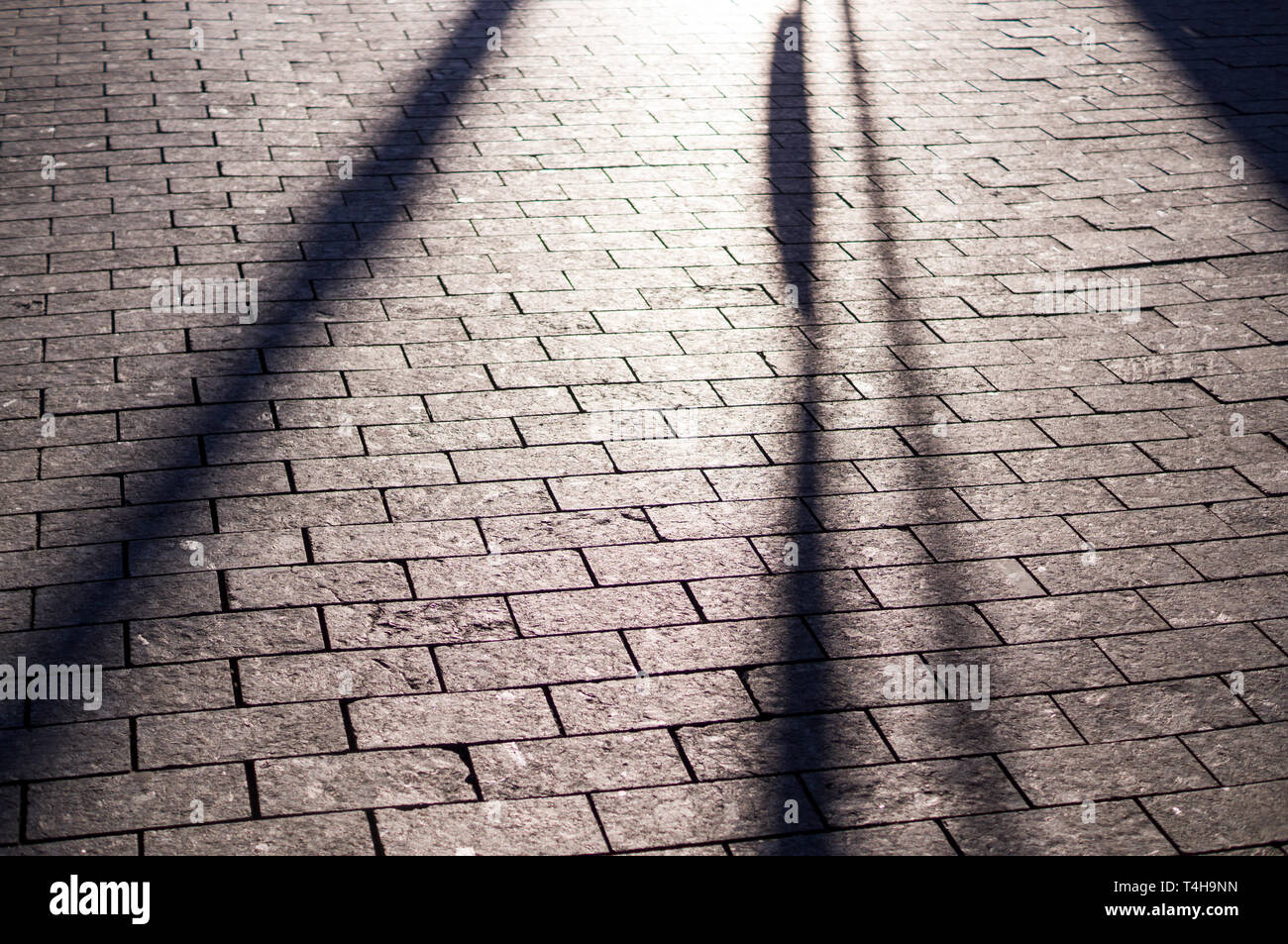 Sun ombre sulla piastrella marciapiede pavimentato con prospettiva. sfondo, illuminazione. Foto Stock