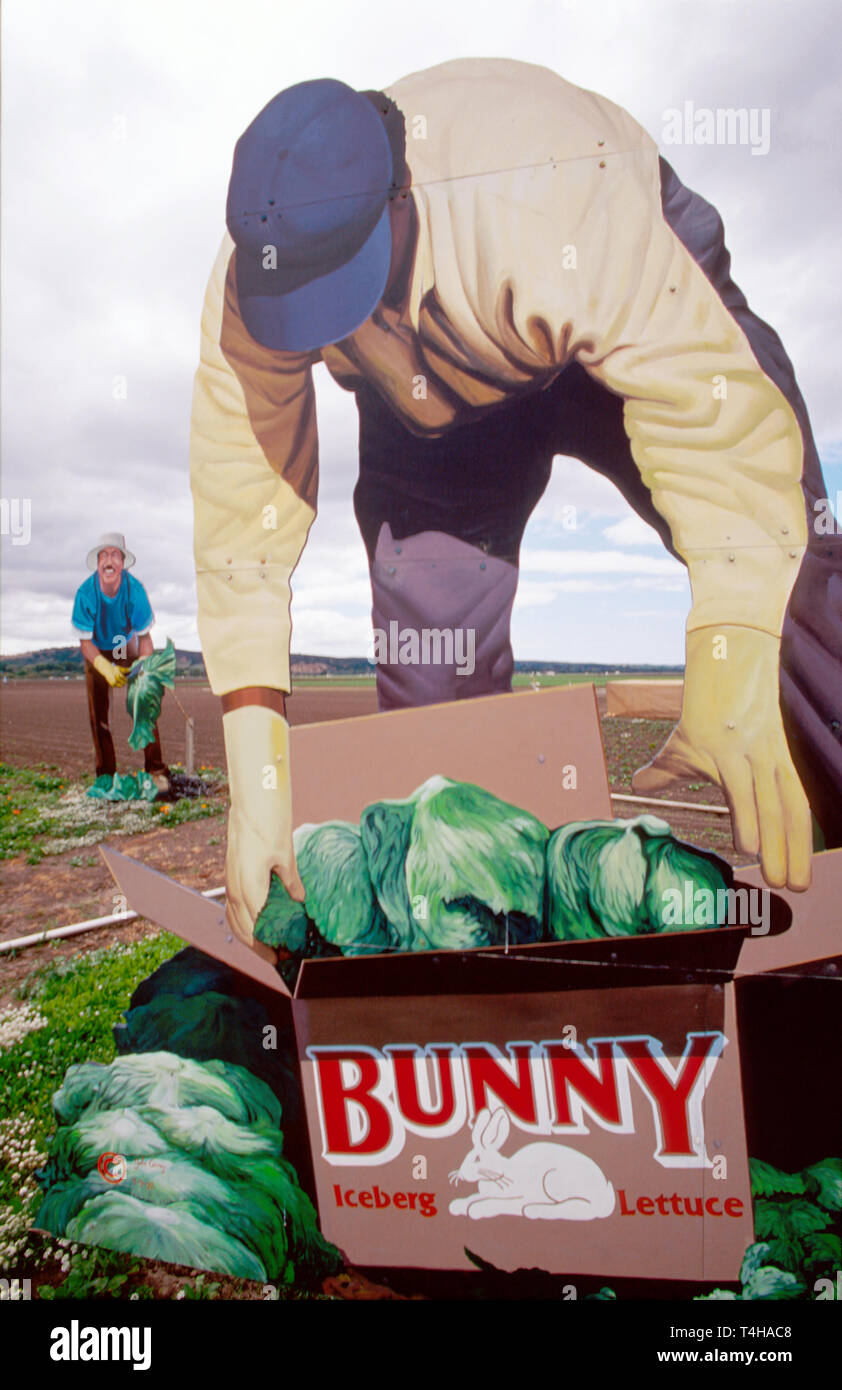 Monterey California,County Salinas Valley Spreckles The Farm 18 ft cartellone,pubblicità,ad,ad art CA084,CA084 Foto Stock