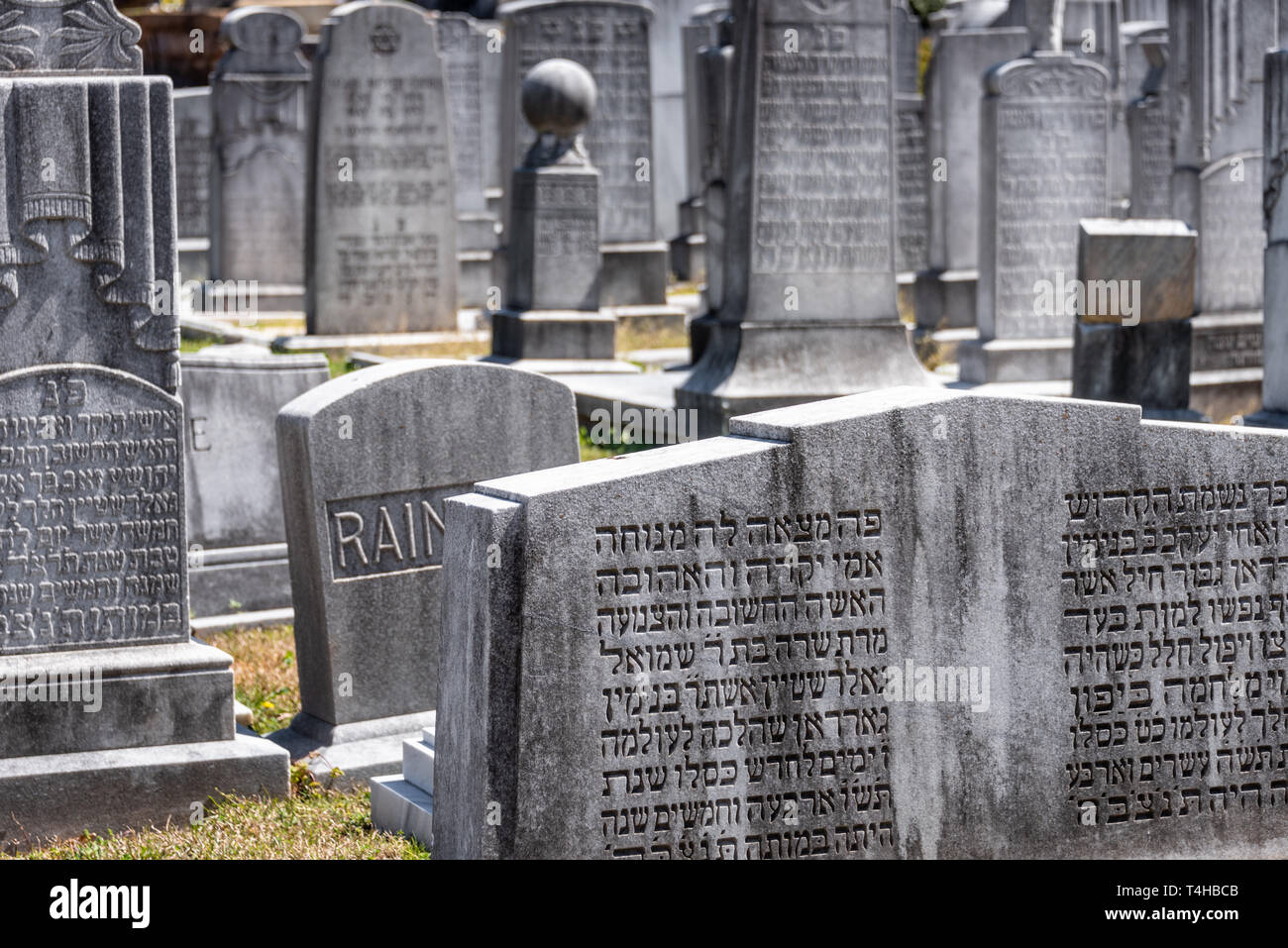 Lapidi nella sezione ebraica del centro storico di Oakland il cimitero di Atlanta, Georgia. (USA) Foto Stock