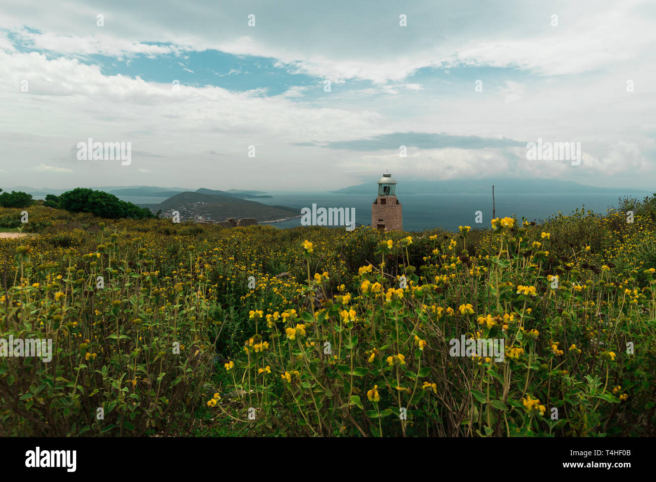 Pittoresco piccolo faro sulla costa albanese circondato dalla fioritura fiori gialli con vista su Corfù (Saranda, Albania, Europa) Foto Stock