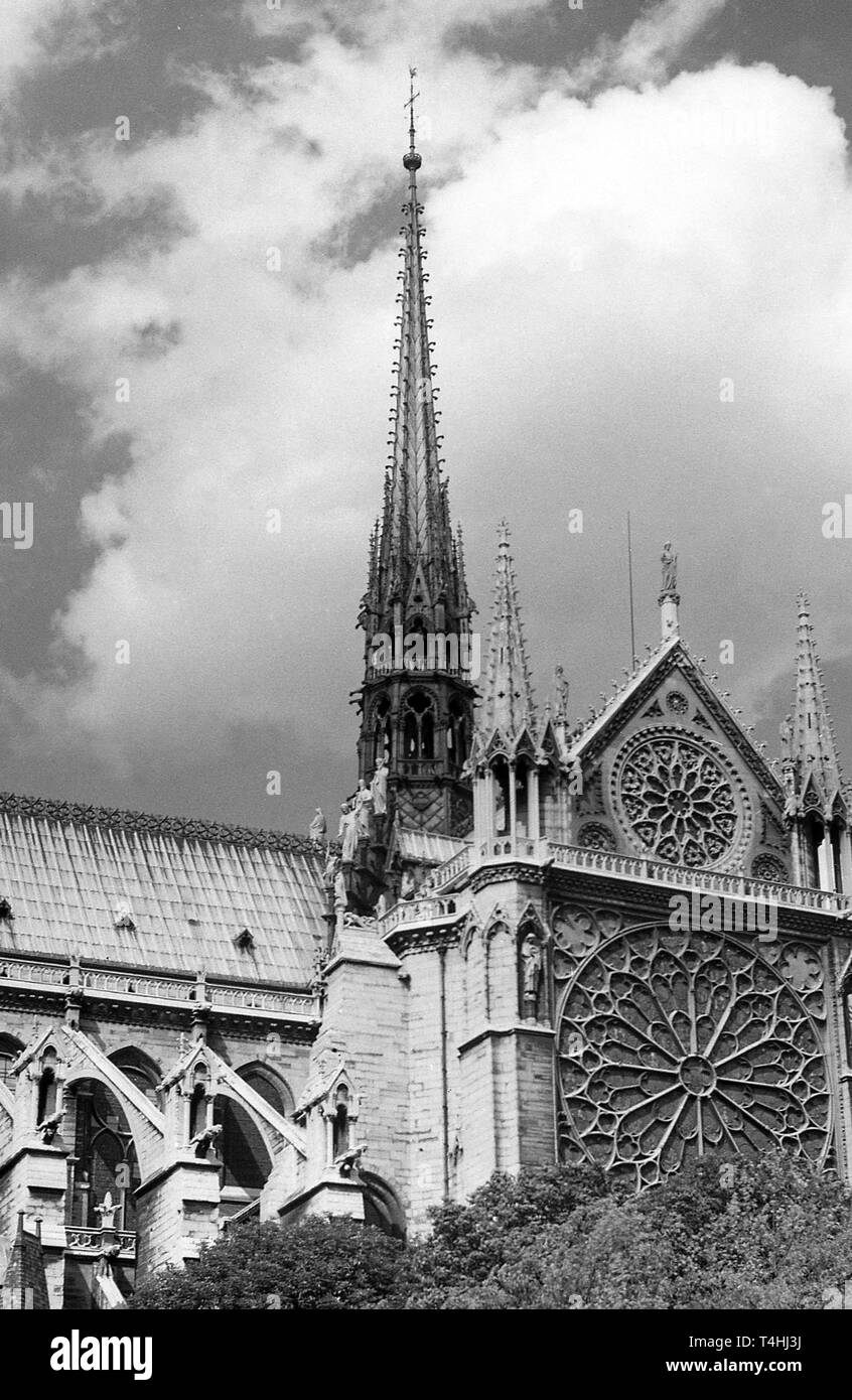 La cattedrale di Notre Dame di Parigi, Francia. File immagine scattata a metà anni cinquanta Foto Stock