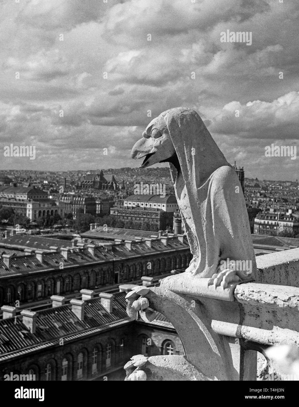 La cattedrale di Notre Dame di Parigi, Francia. File immagine scattata a metà anni cinquanta Foto Stock