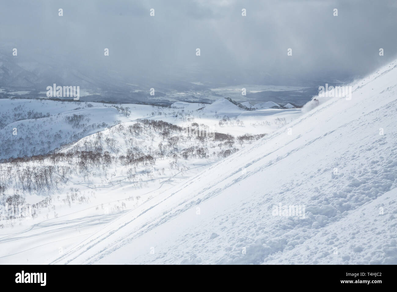Piste da sci a coprire il primo piano come un altro sciatore scende in alcuni neve soffice nel backcountry di Hokkaido, Giappone. Lo sciatore è appena visibile attraverso Foto Stock