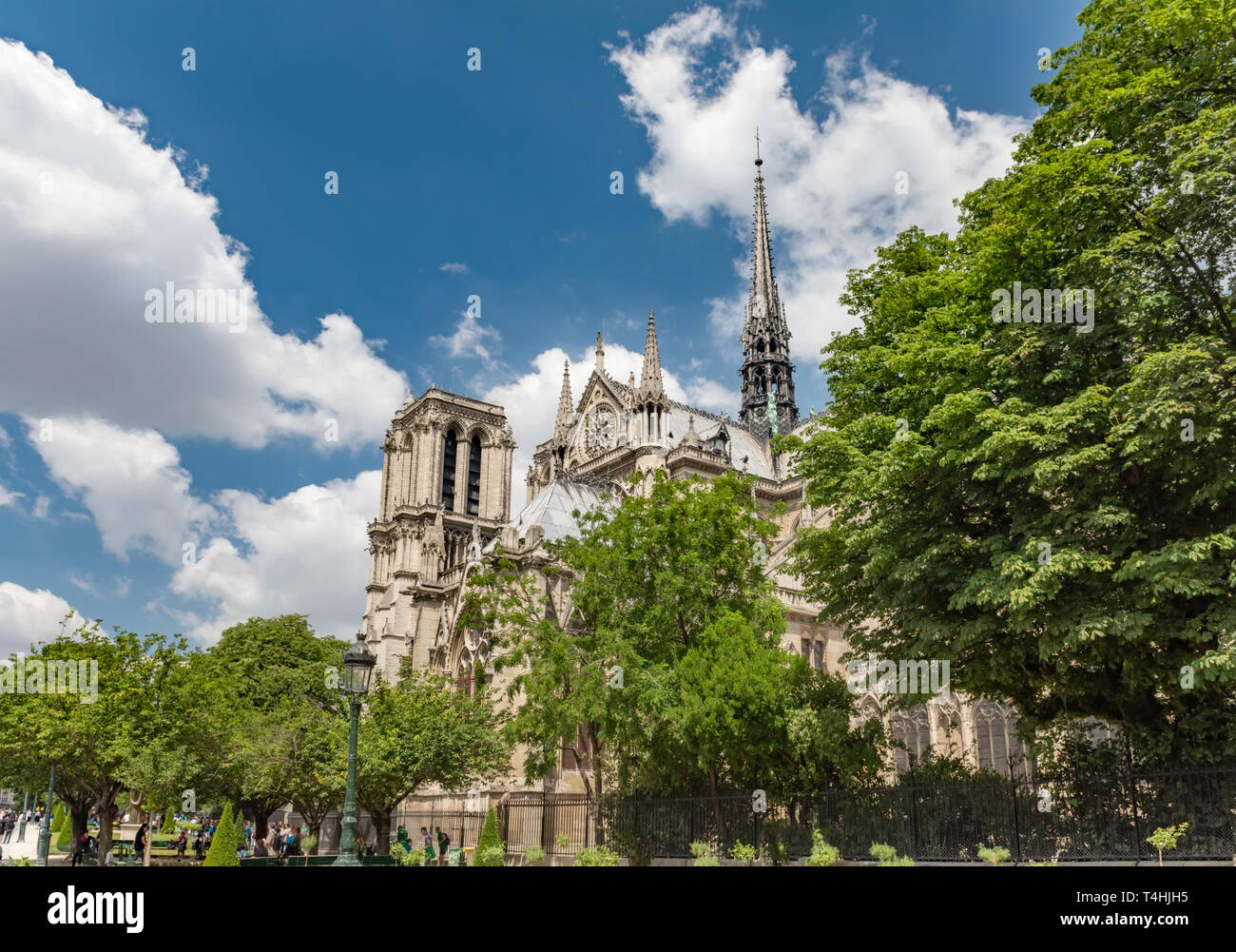 Notre Dame de Paris Cathedral, più bella cattedrale di Parigi. Francia Foto Stock